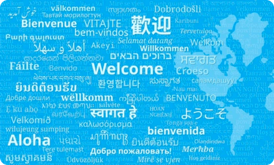 自动翻译成28种语言