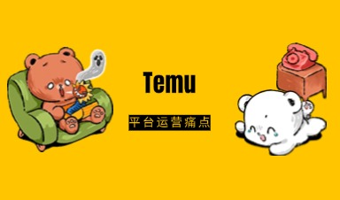 如何克服Temu平台运营痛点，实现商家可持续发展