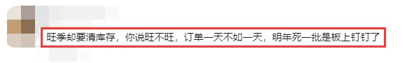 亚马逊旺季