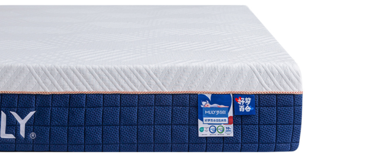 上市家居品牌梦百合：大件出海的命脉是“货就是钱”