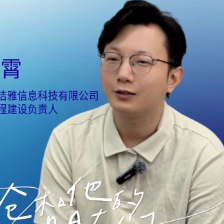 崔总（数据与流程建设负责人）